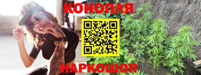 Альфа ПВП Пушкино
