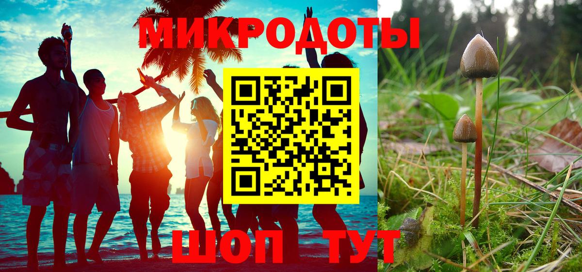 Северск  Псилоцибиновые грибы MAGIC MUSHROOMS  Вход с VPN 